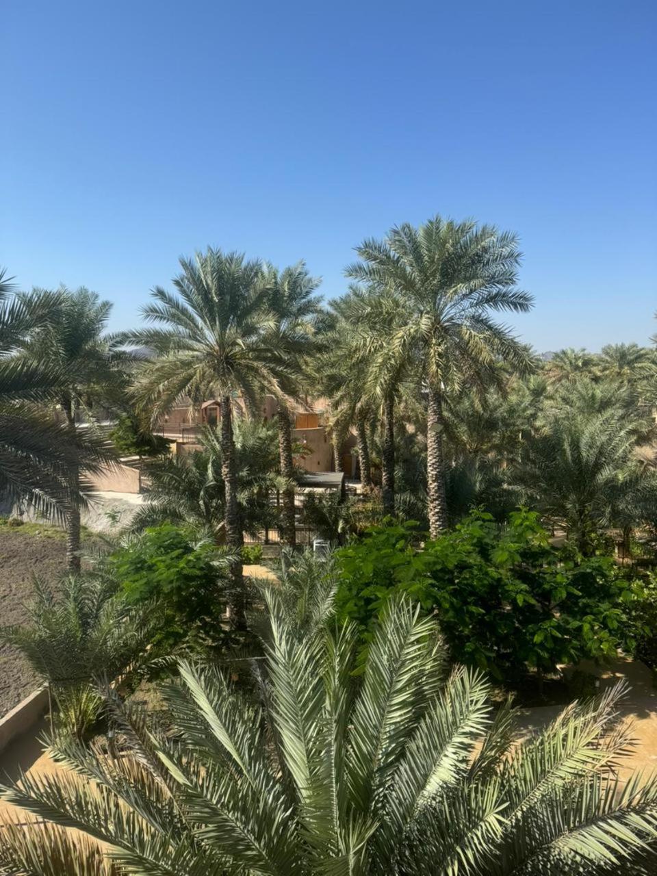 ניזווא Jawharat Alaqar Inn نزل جوهرة العقر מראה חיצוני תמונה